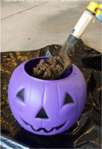 Halloween purple pumpkin 05