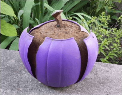 Halloween purple pumpkin 07